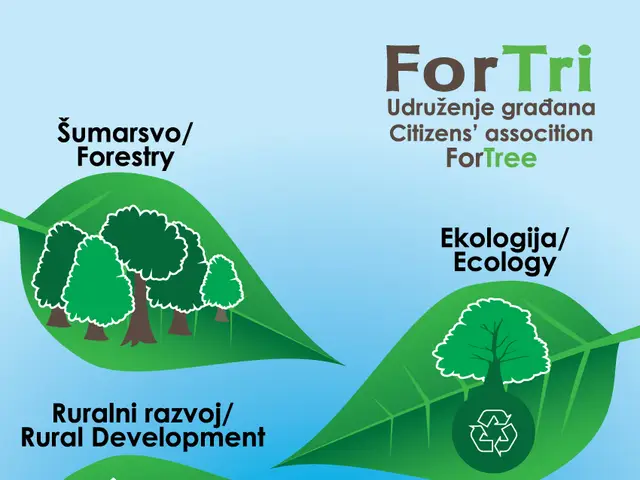 ForTri, Print design